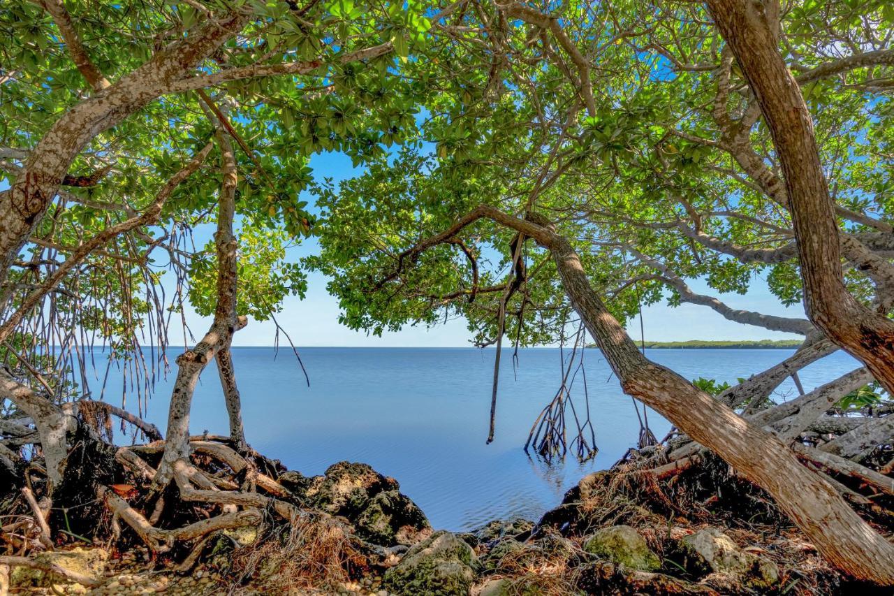 Dove Creek Resort & Marina, Trademark Collection By Wyndham Cayo Largo Exterior foto
